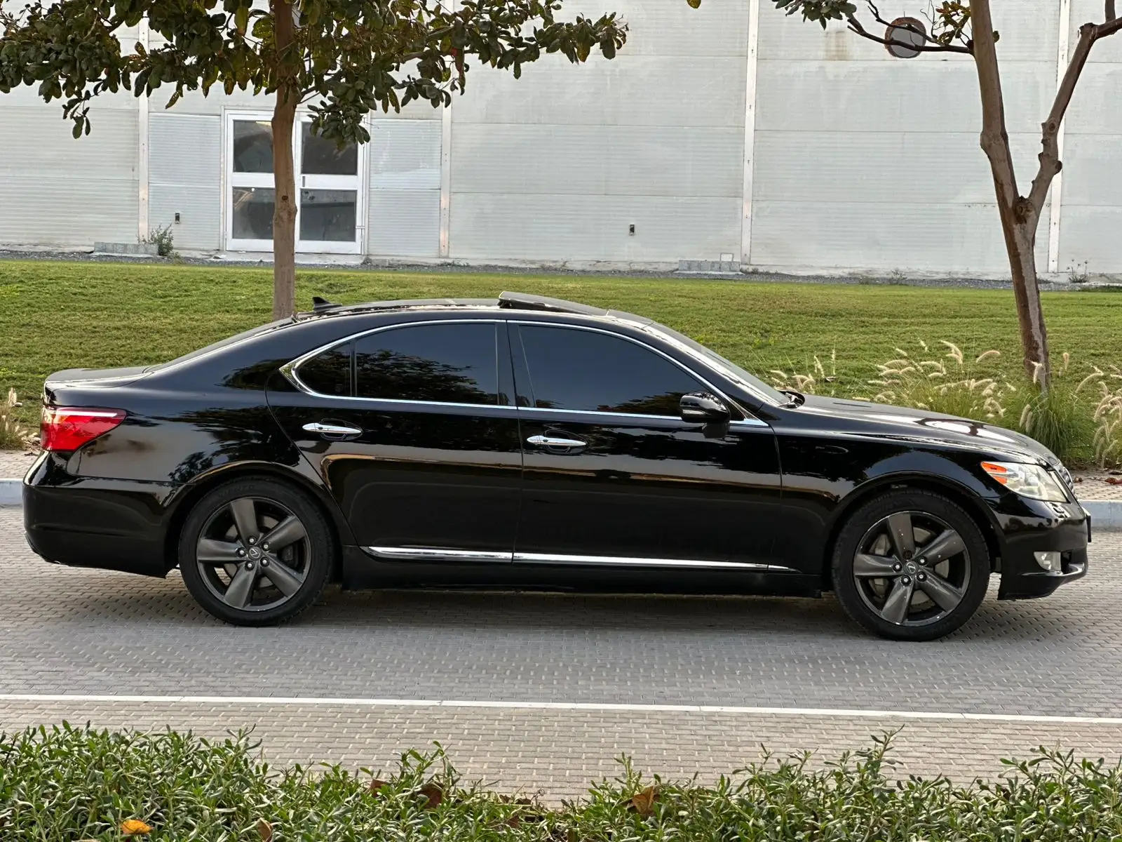 Lexus LS 2011 undefinedL