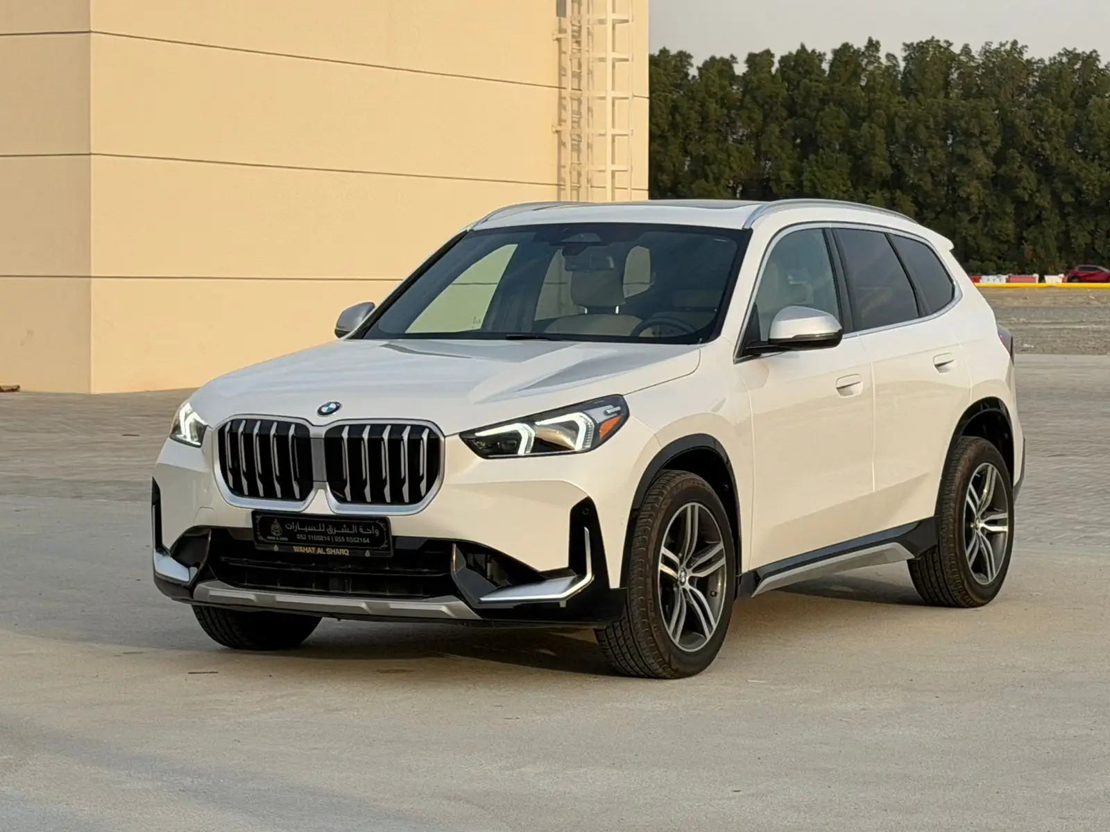 BMW X1 2024 2L
