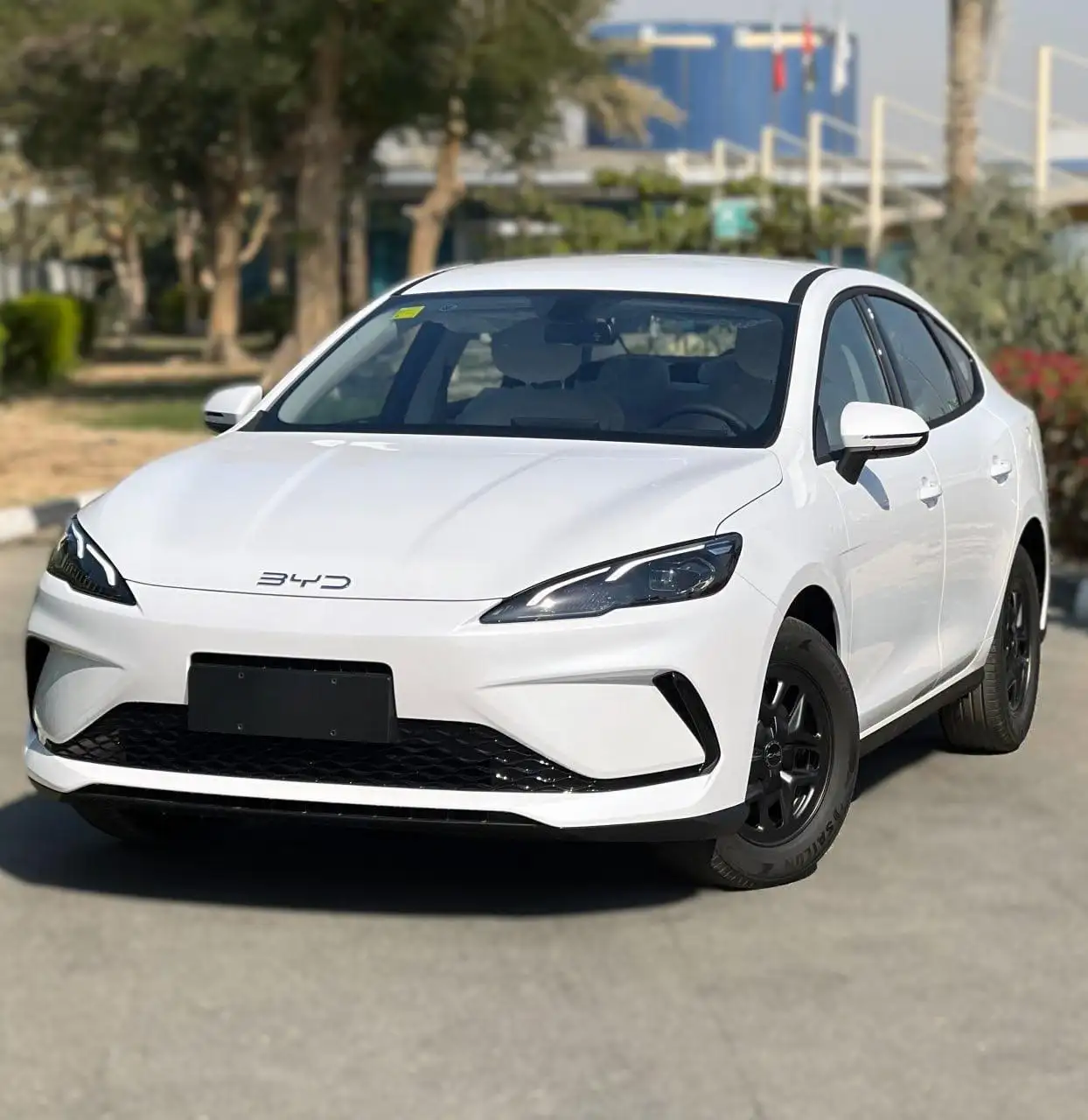 بي واي دي سيل 2025