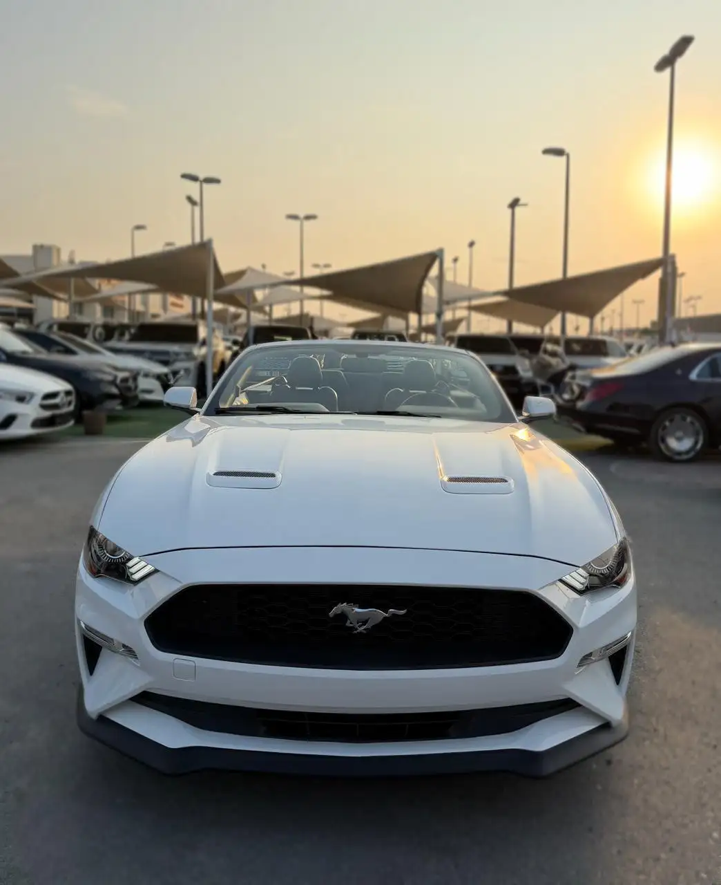 Ford Mustang 2019
