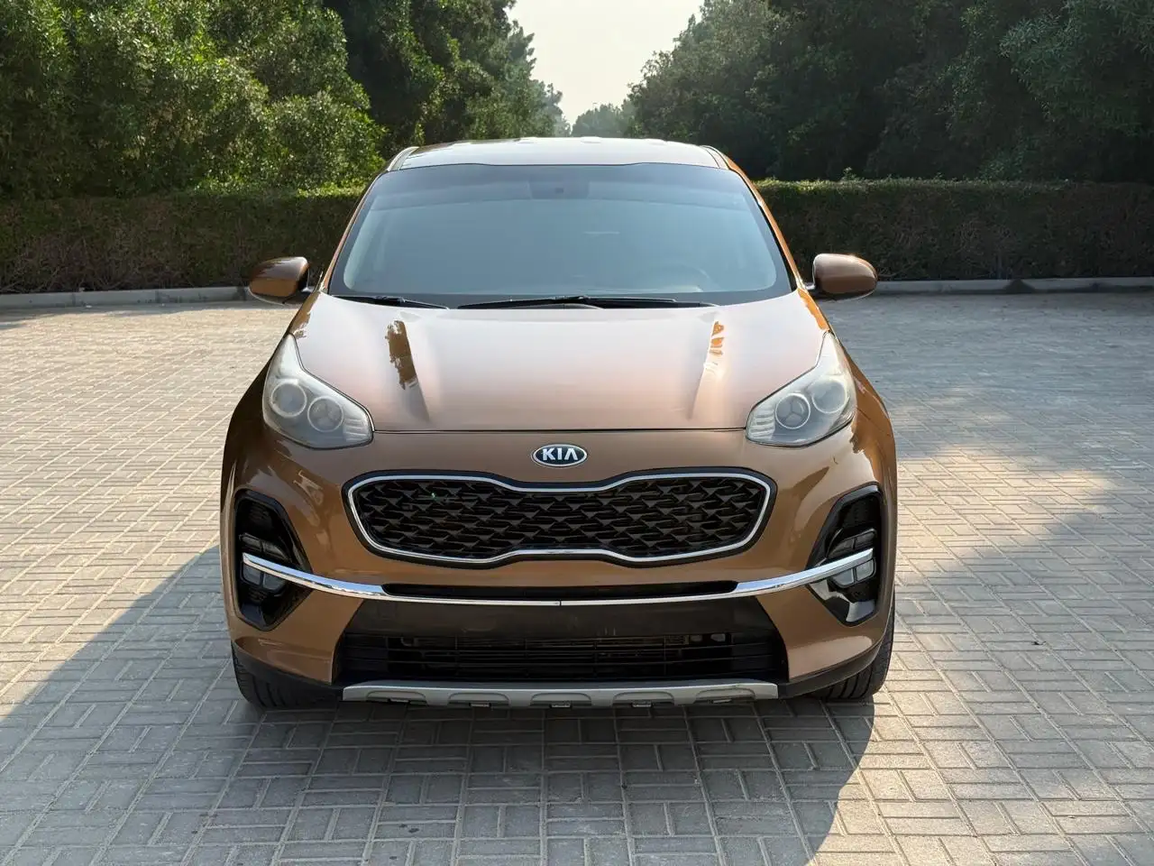 كيا سبورتيج 2019