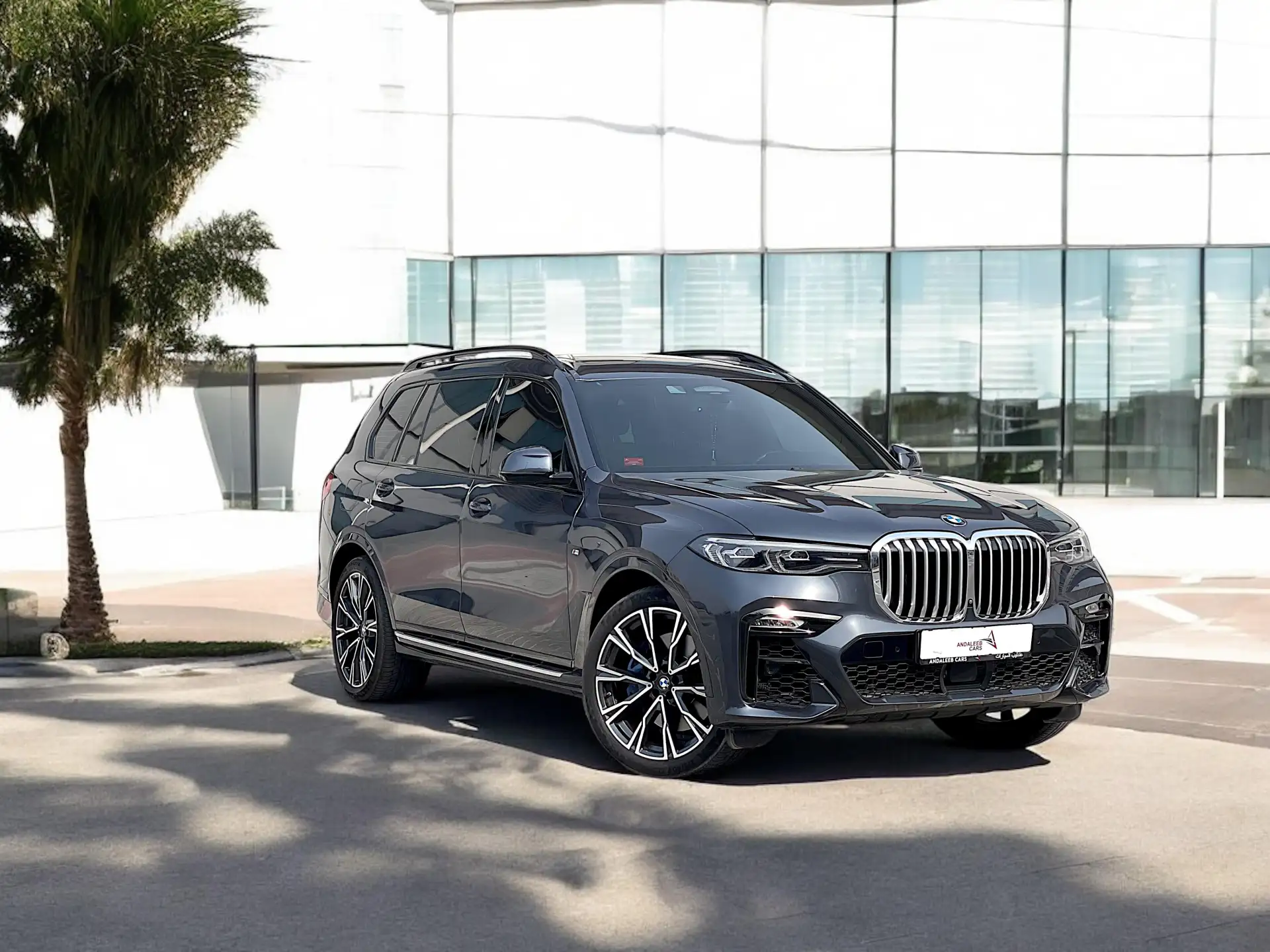 BMW X7 2022 3L