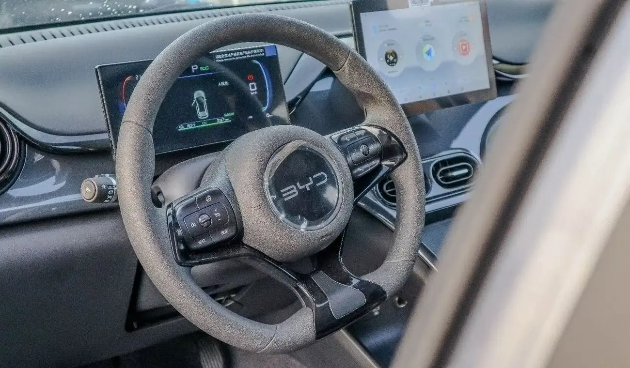 BYD E2 2024 undefinedL