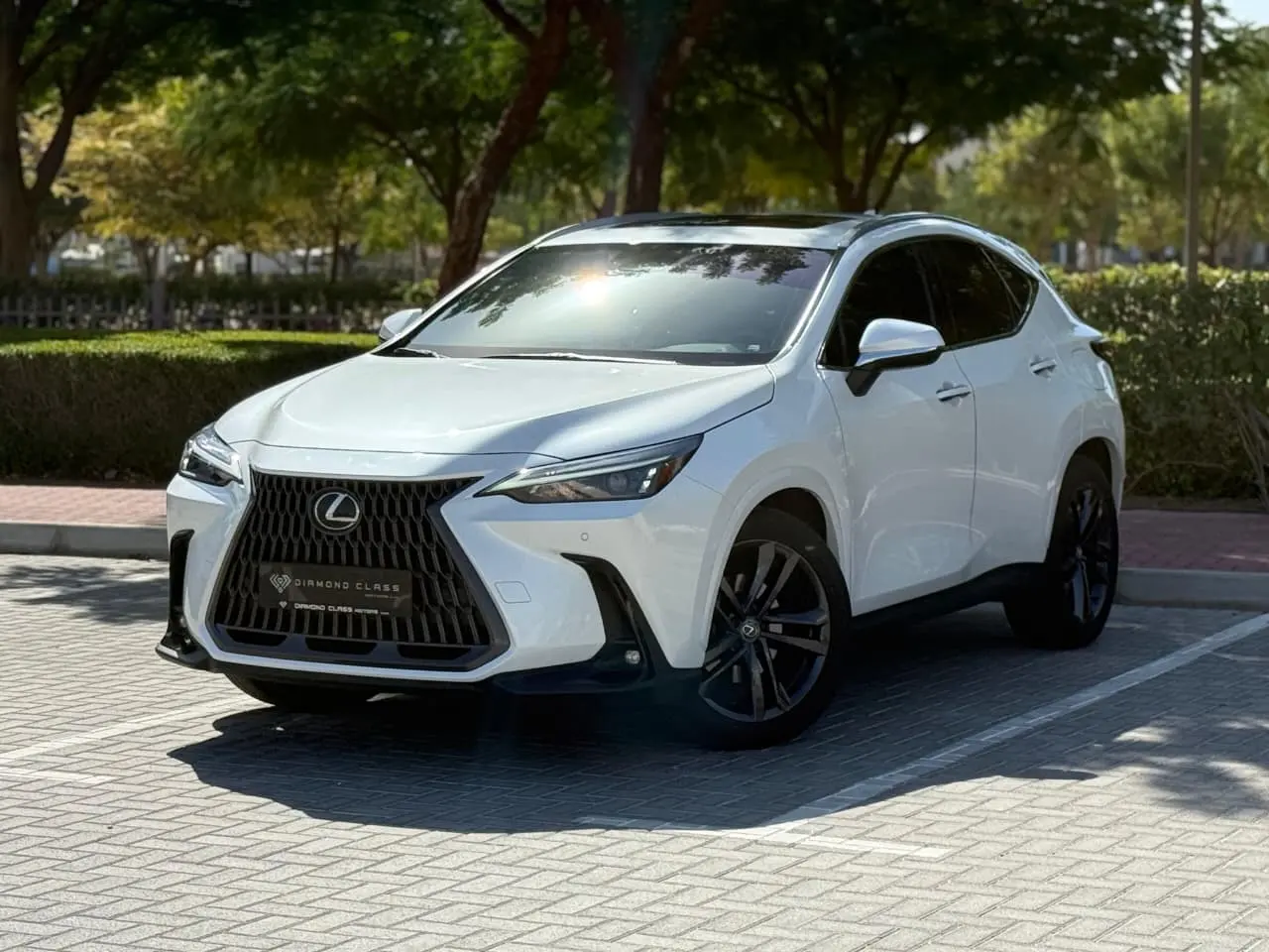 Lexus NX 2025 2.5L