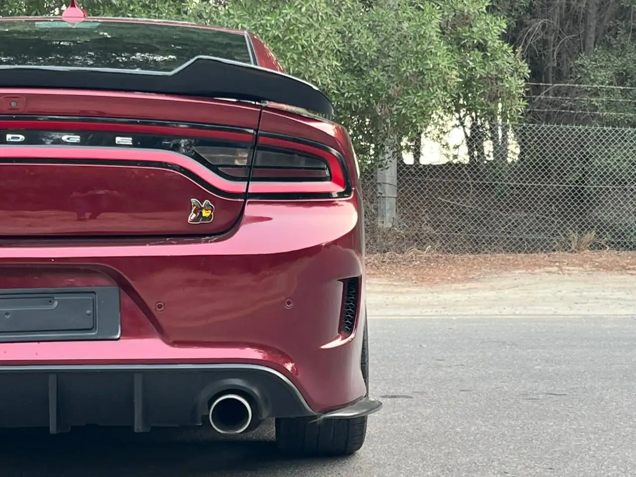 Dodge Charger 2019