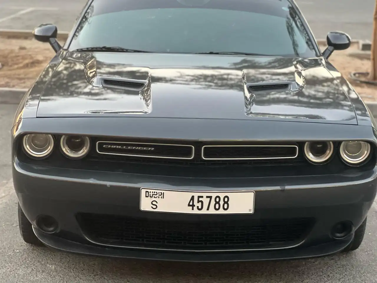 Dodge Challenger 2019 3.6L