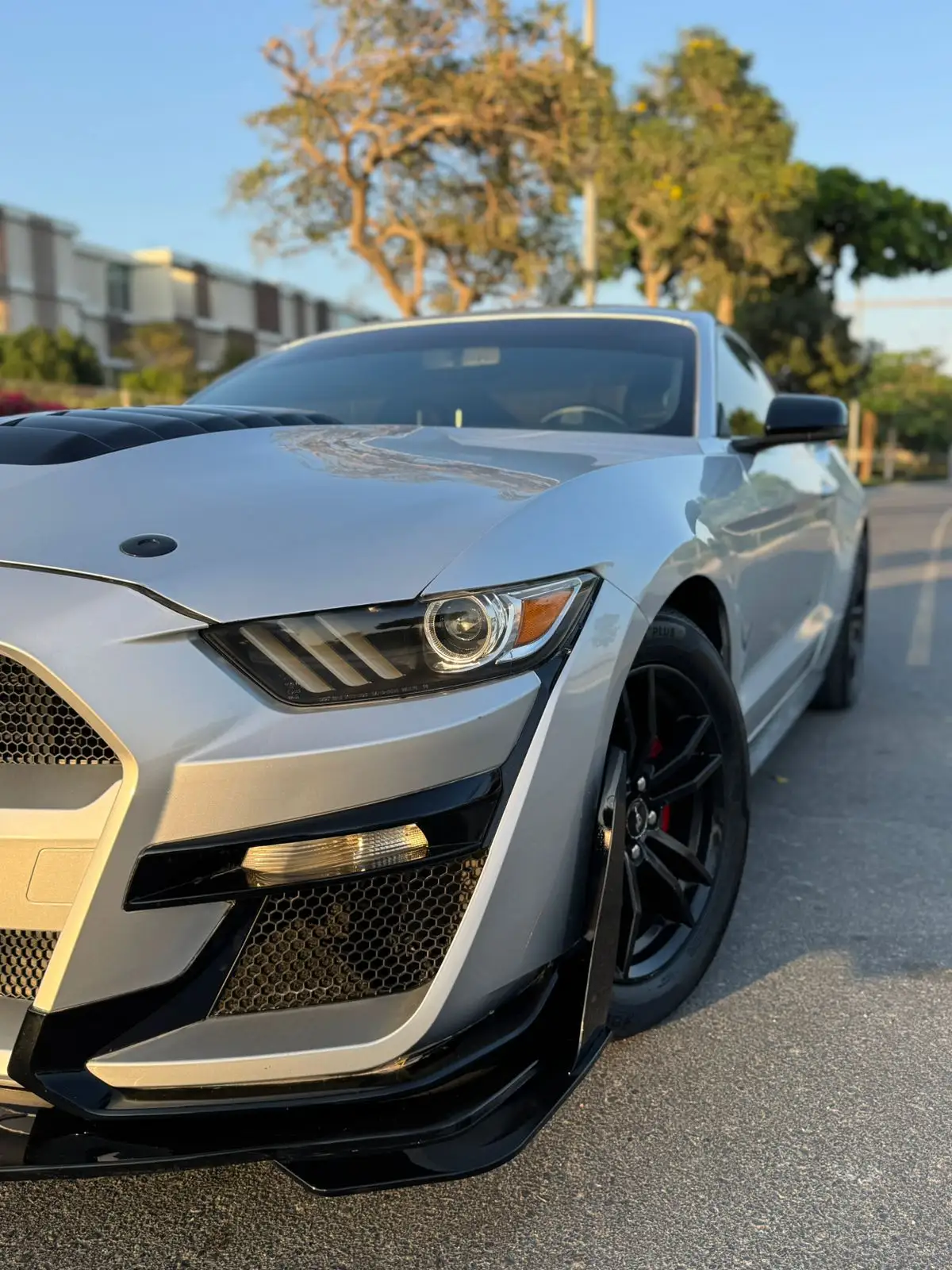 فورد موستانج 2017 undefinedL