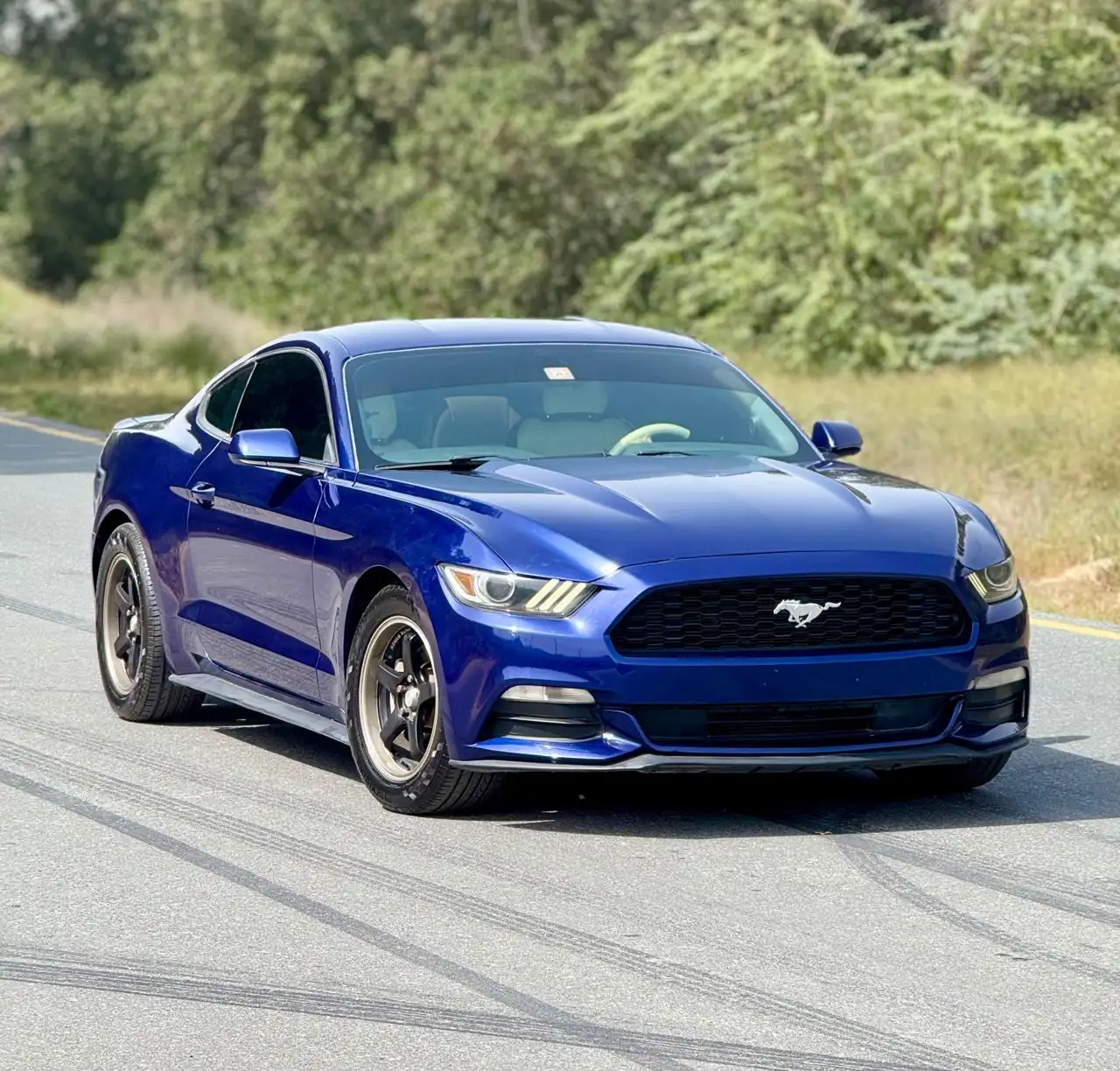 Ford Mustang 2015 3.7L