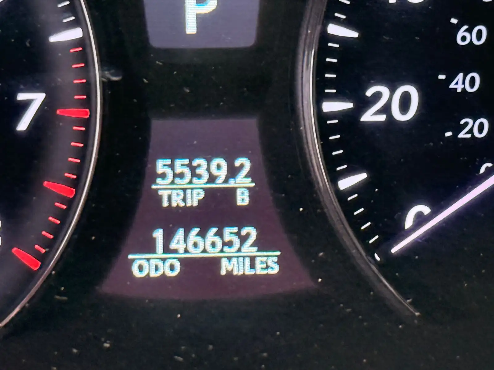 Lexus LS 2010 undefinedL