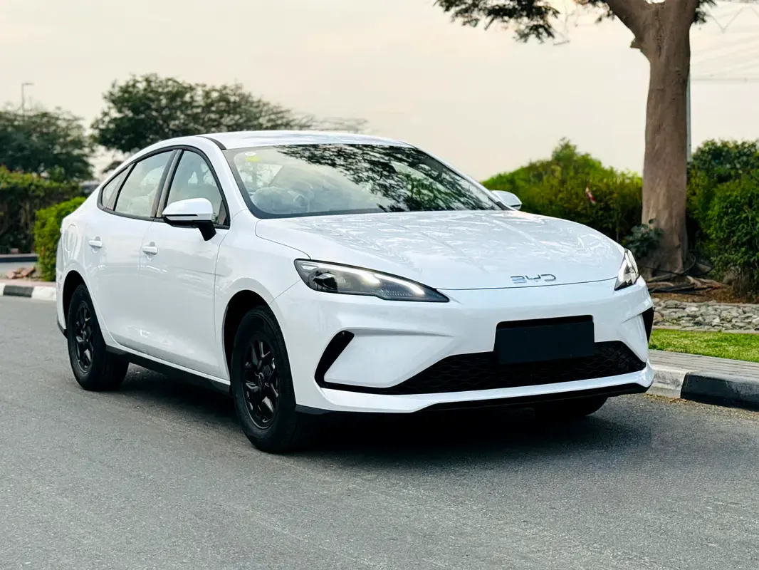 بي واي دي سيل 2025