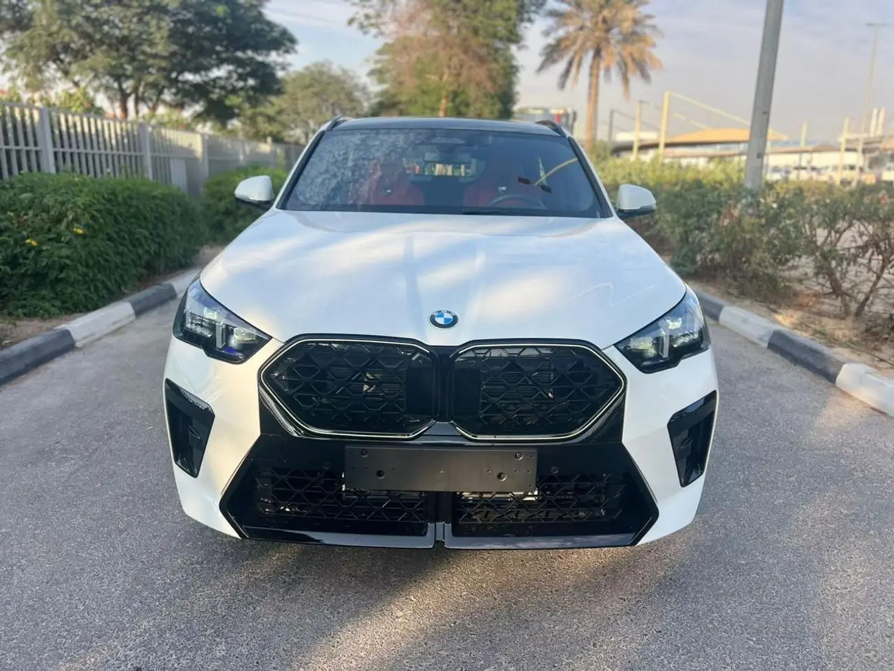 BMW X2 2026 2L