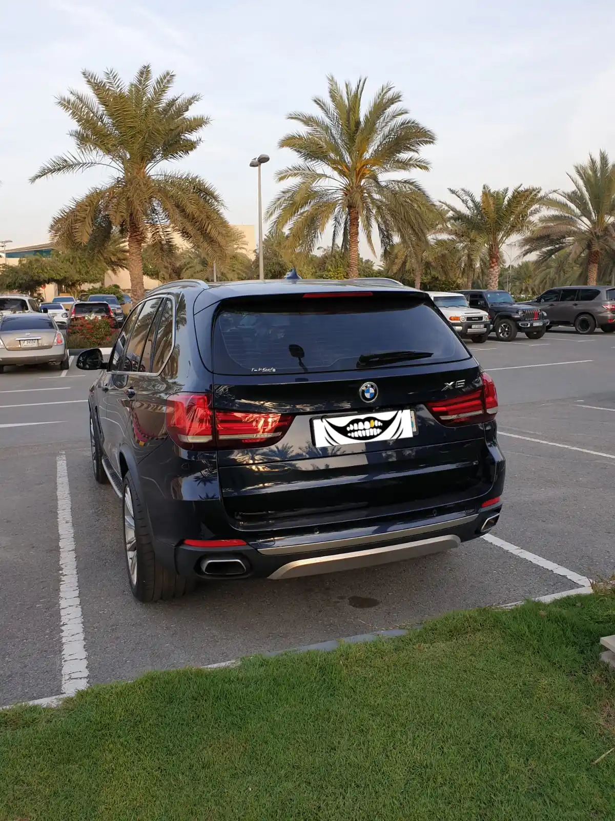 BMW X5 2017 3000L