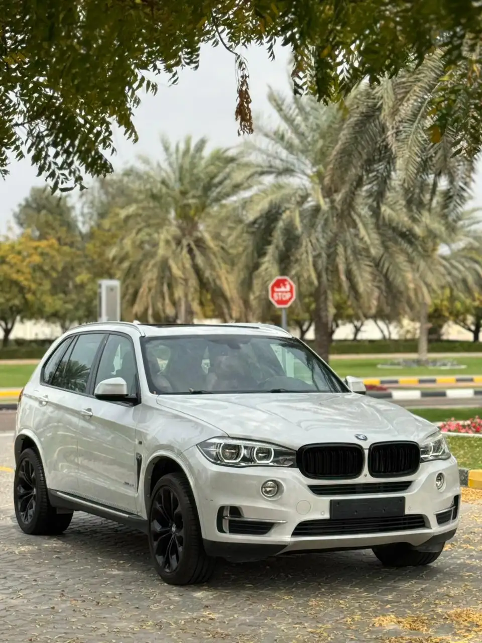 BMW X5 2017 undefinedL