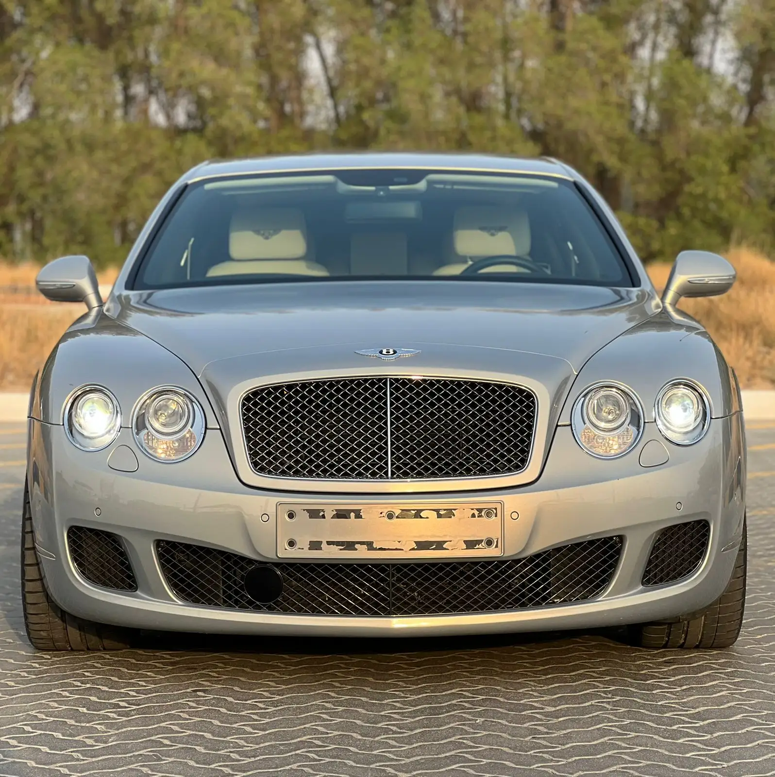 Bentley Continental Flying Spur 2013