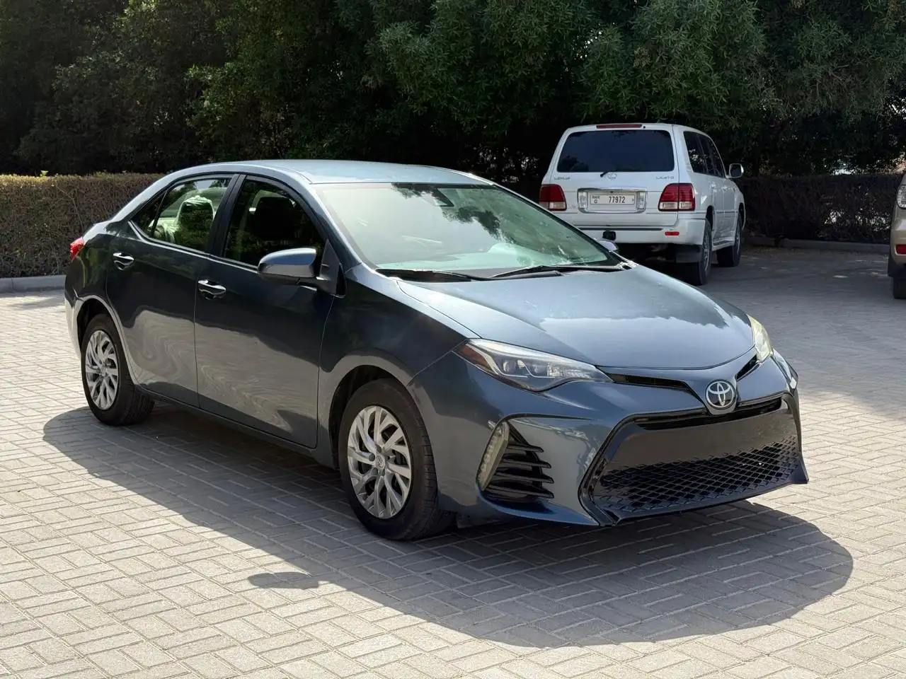 تويوتا كورولا 2019