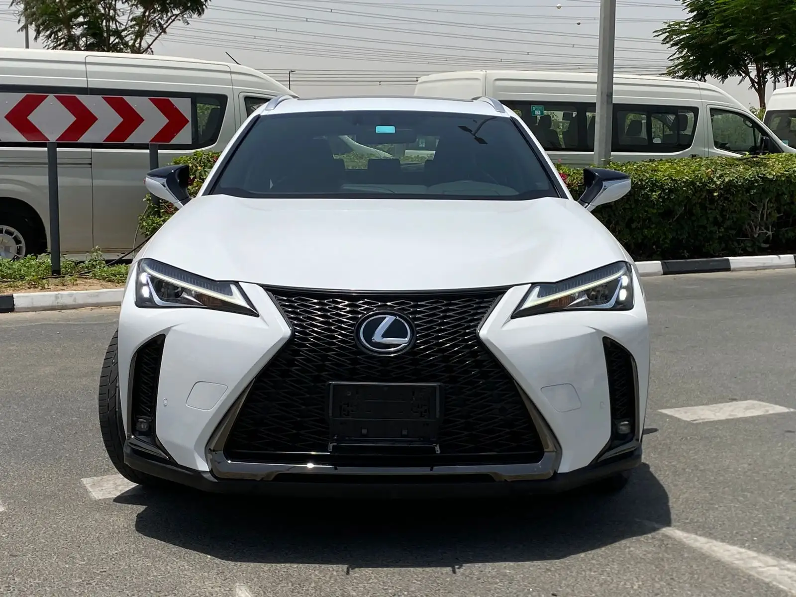 Lexus UX 2019 2L