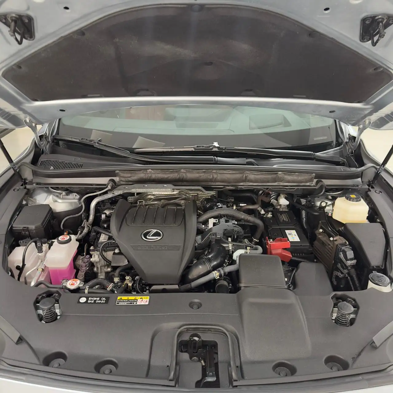 لكزس RX 2024 2.4L