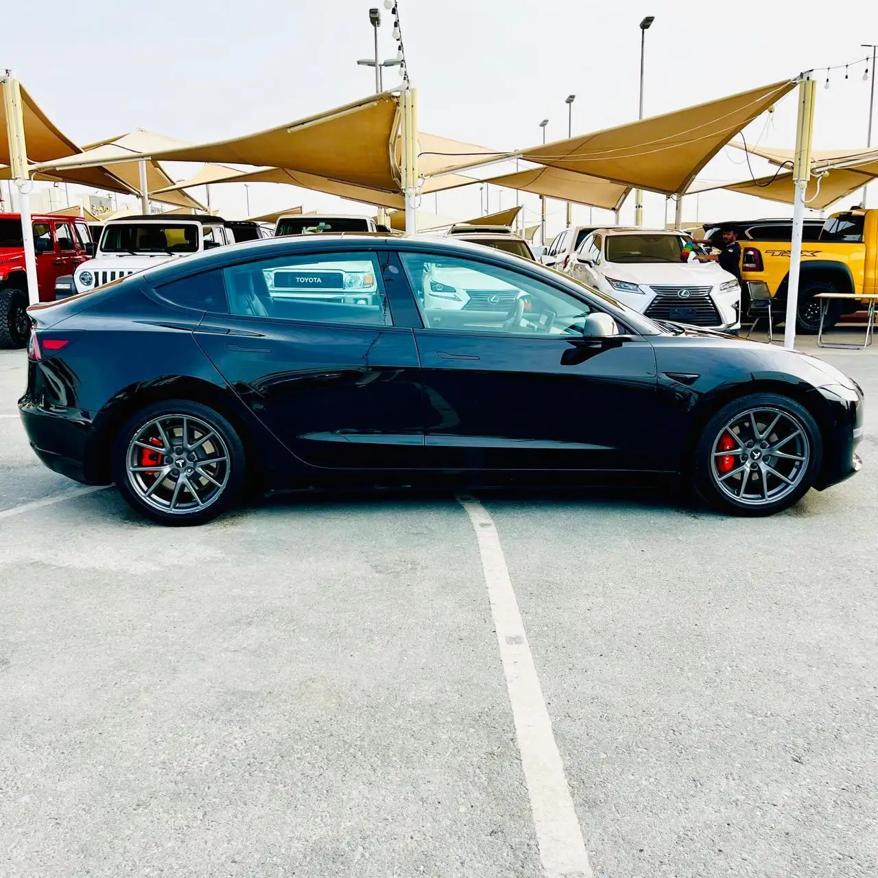 تسلا موديل 3 2021