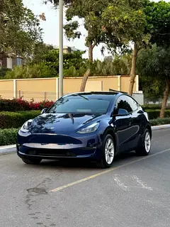 Tesla Model Y 2022 undefinedL