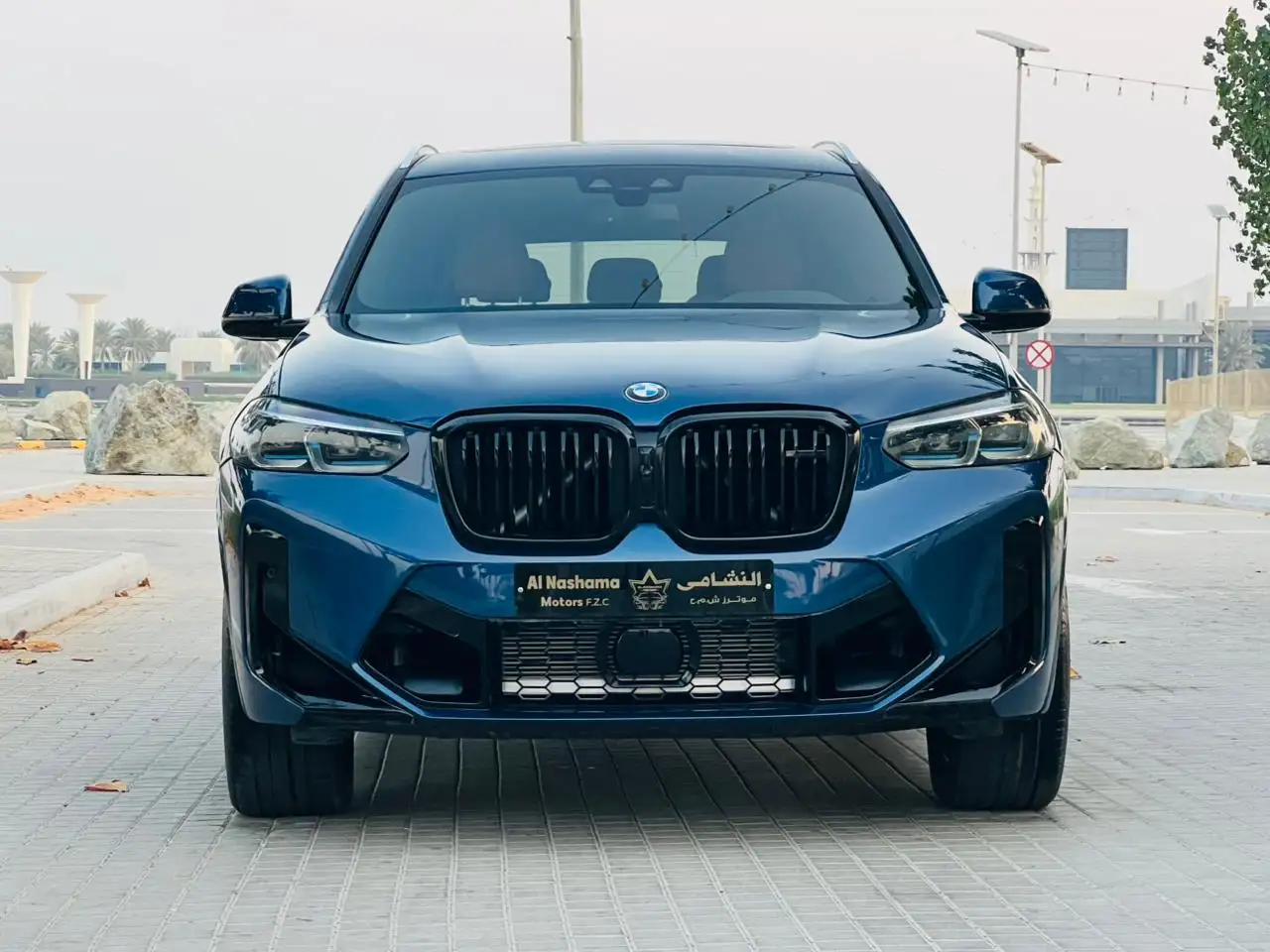 بي أم دبليو X3 2021