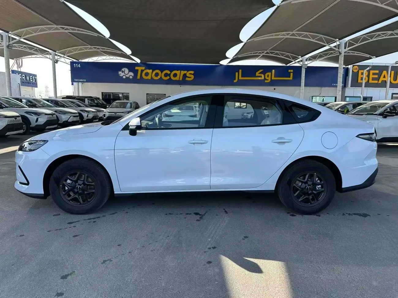 بي واي دي سيل 2025 1.5L