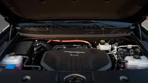  ليوبارد 5 2025