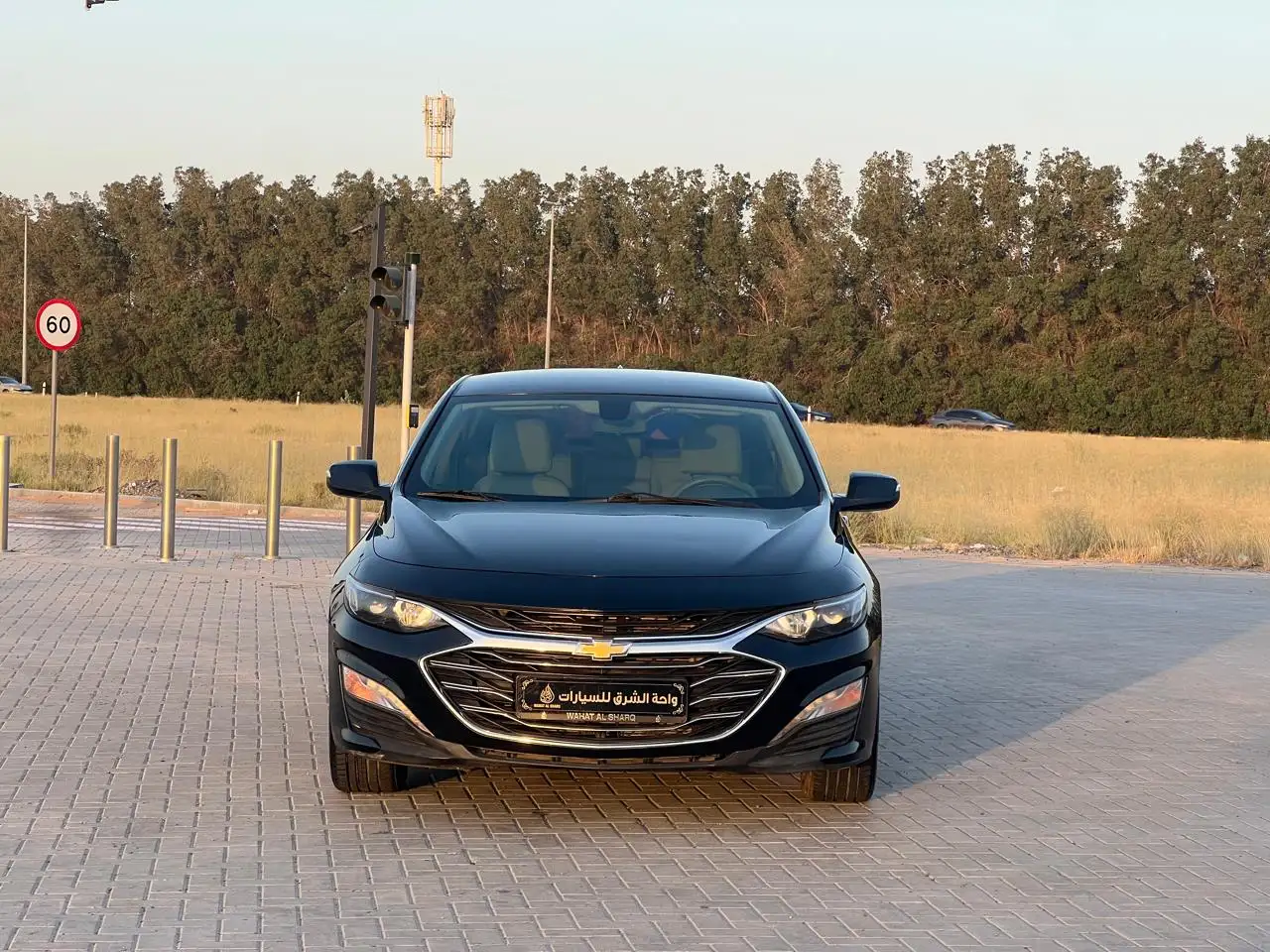 Chevrolet Malibu 2022 2L