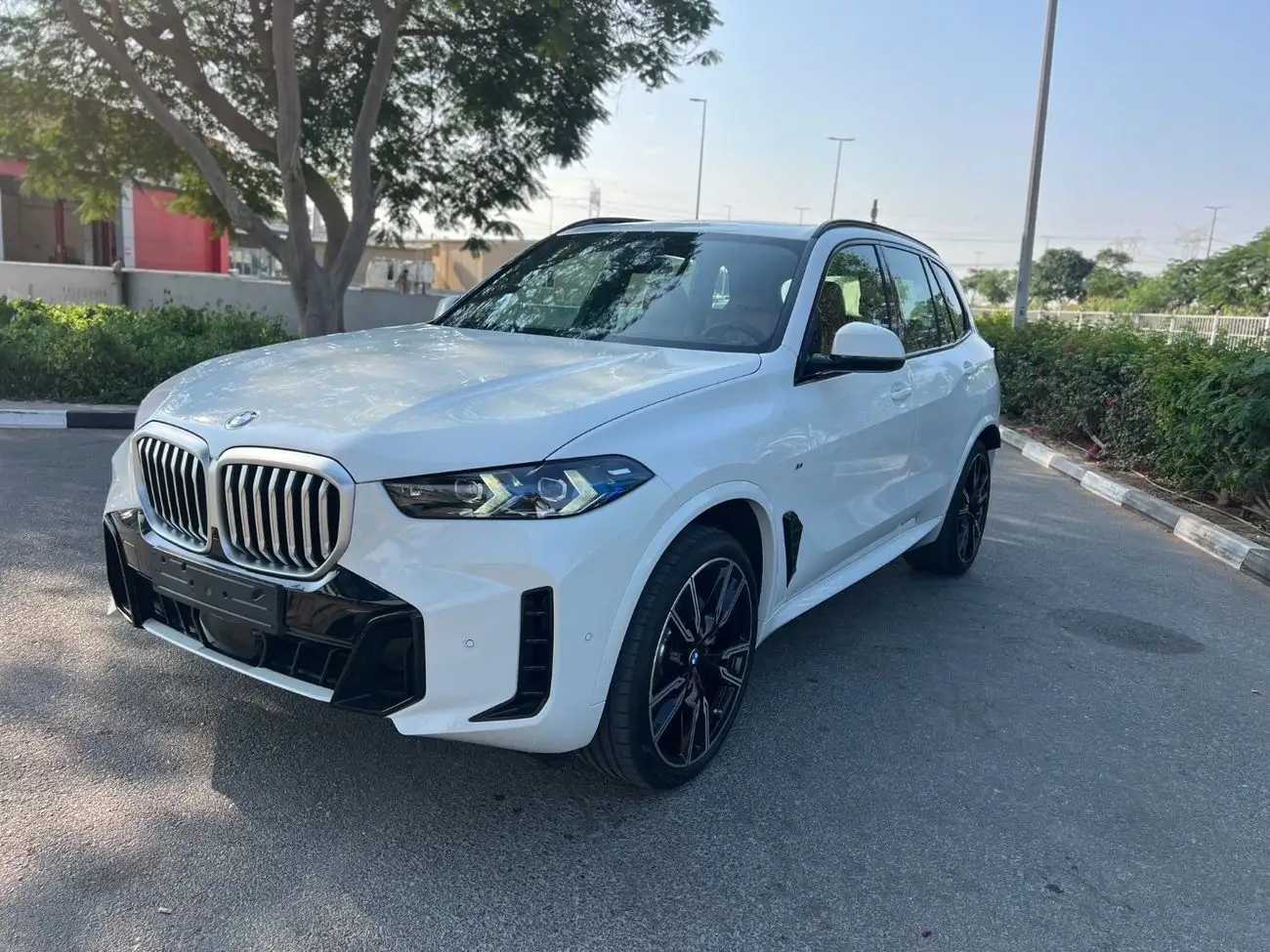 BMW X5 2025