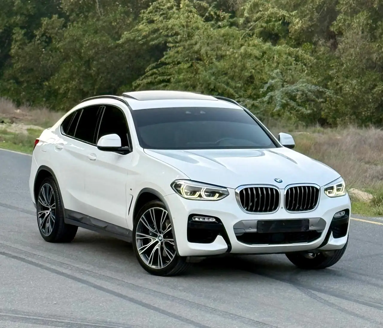 بي أم دبليو X4 2019 2L