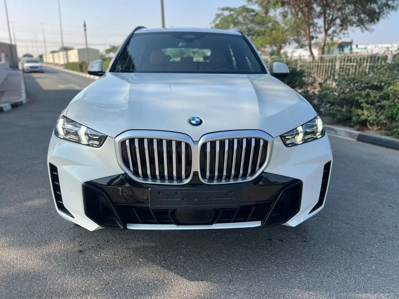 بي أم دبليو X5 2025 3L