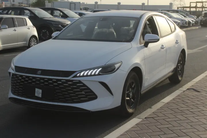 بي واي دي Qin Plus 2026