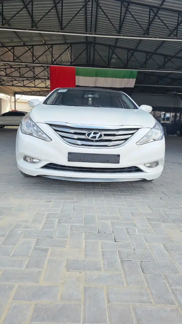 Hyundai Sonata 2011 2.5L