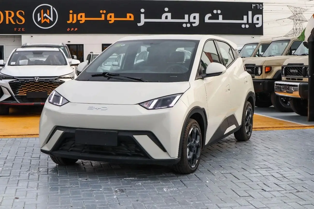 BYD Seagull 2025