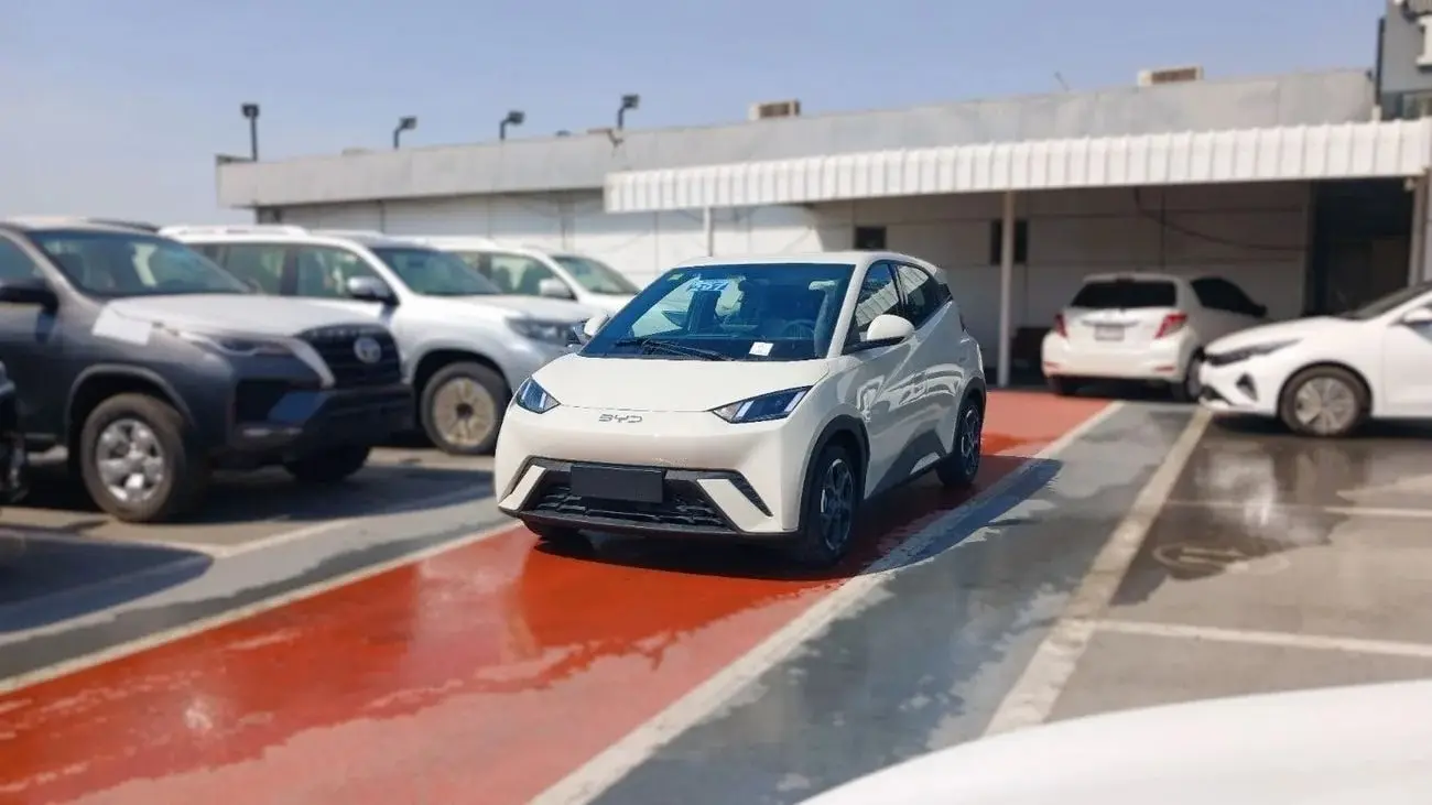 بي واي دي سيجول 2025 undefinedL