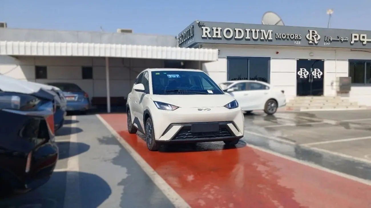 بي واي دي سيجول 2025 undefinedL