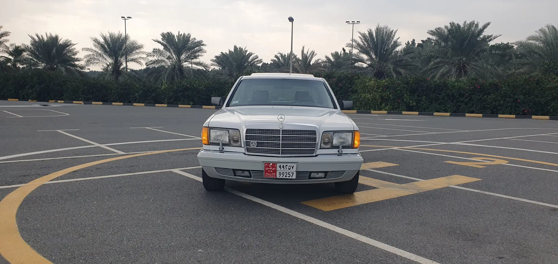 Mercedes Benz S Class 1991 5.6L