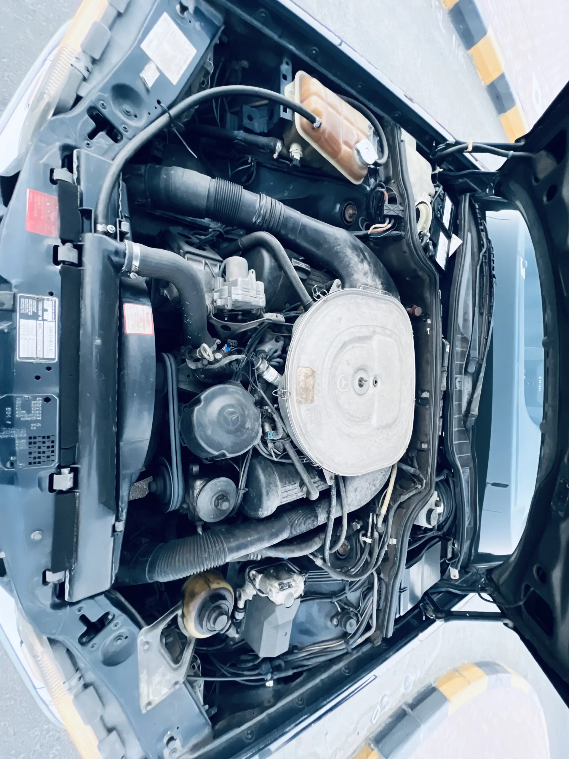 Mercedes Benz S Class 1990 5L