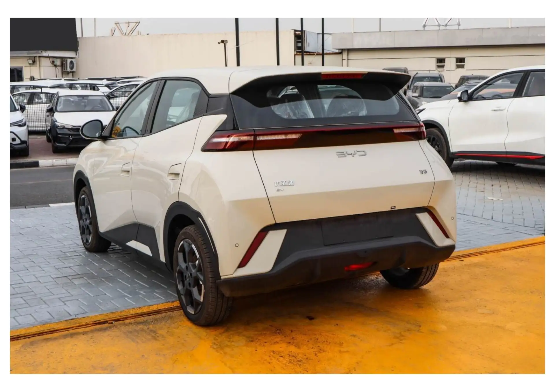 بي واي دي سيجول 2025 undefinedL