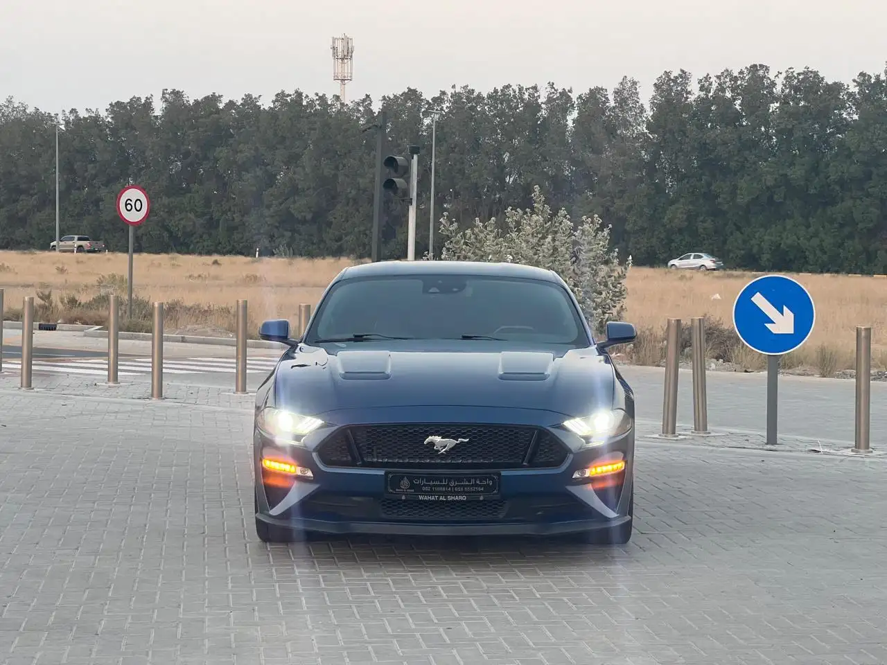 Ford Mustang 2022