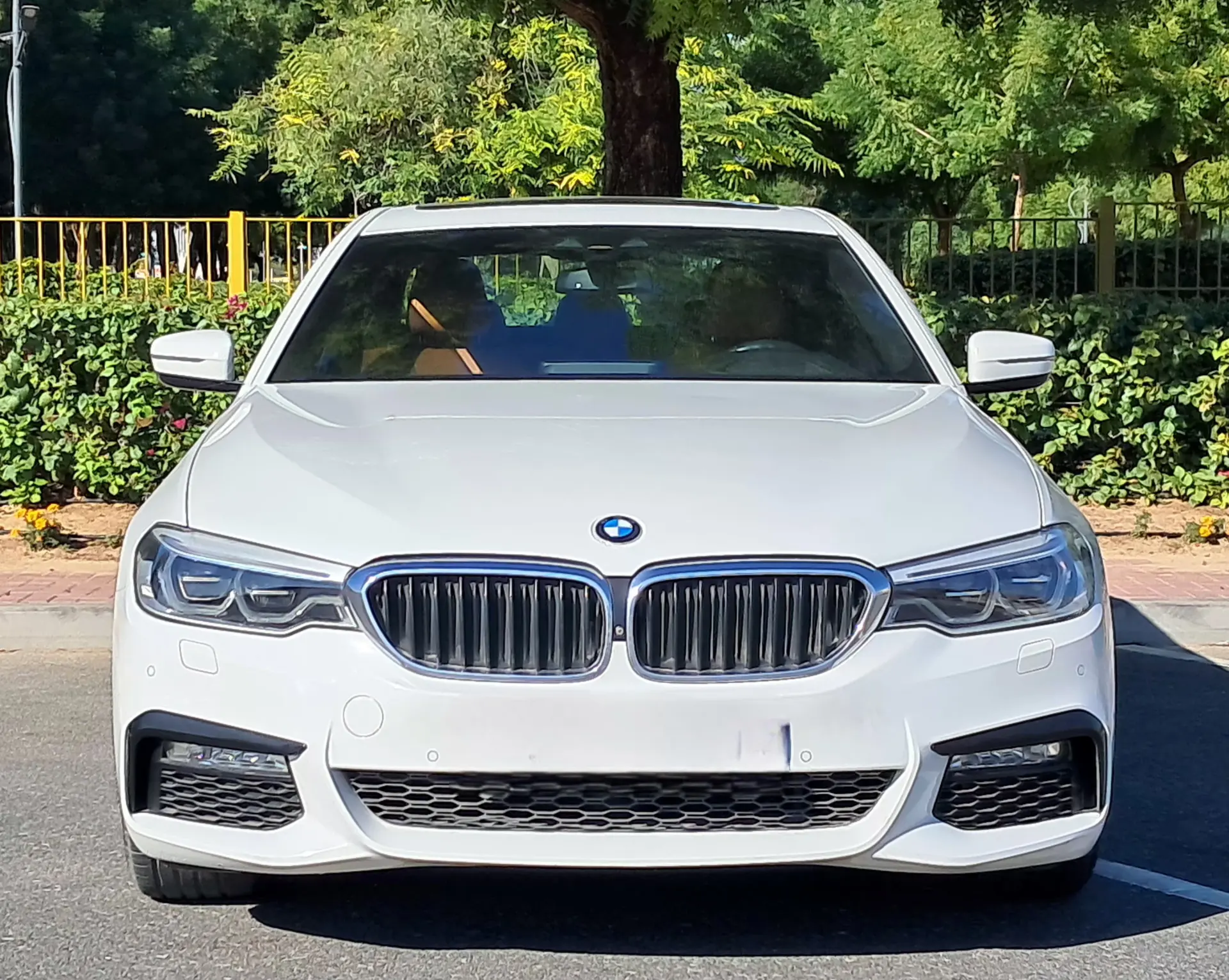 BMW 5 Series 2017 2L