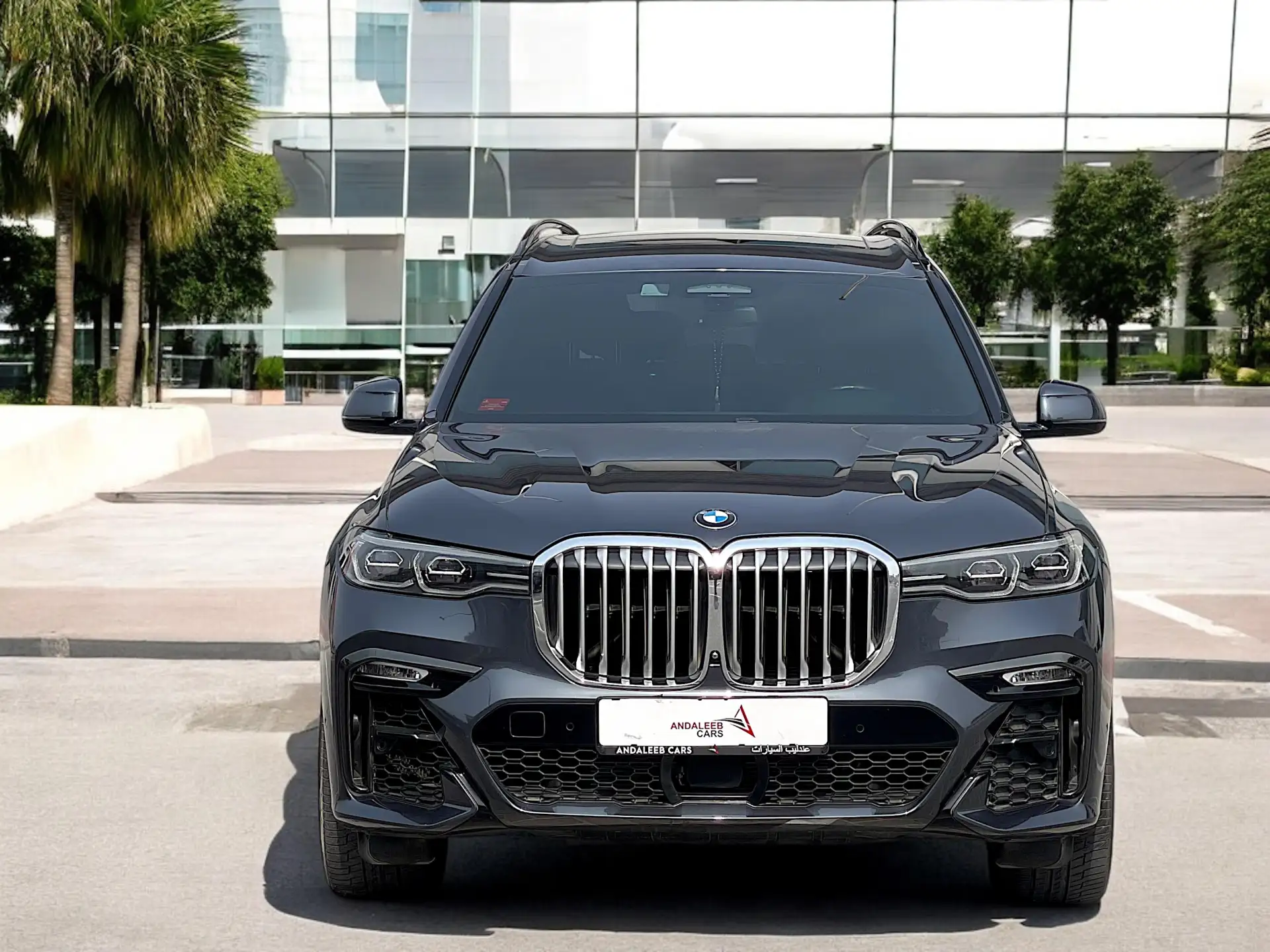 BMW X7 2022 3L