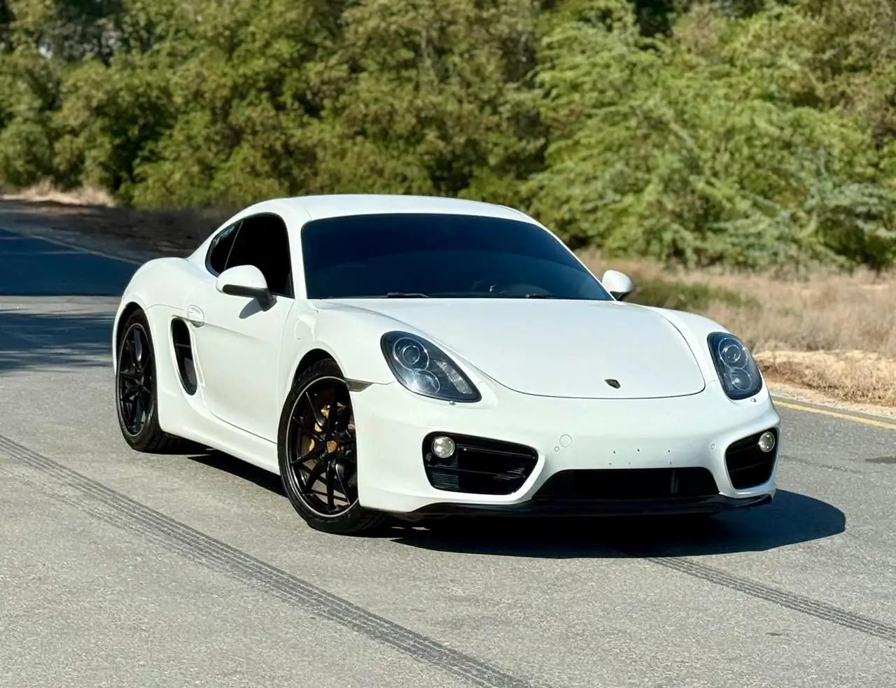 Porsche Panamera 2014 2.7L