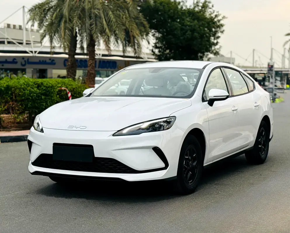 بي واي دي سيل 2025