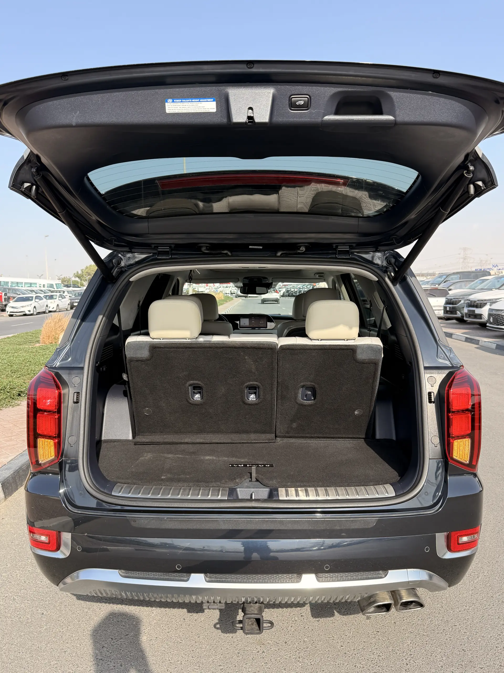 Hyundai Palisade 2021 3.8L