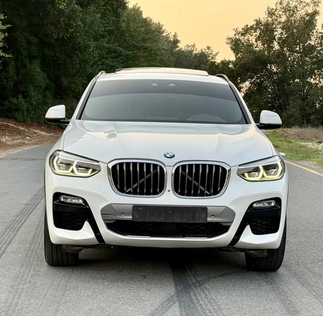 بي أم دبليو X4 2019 2L