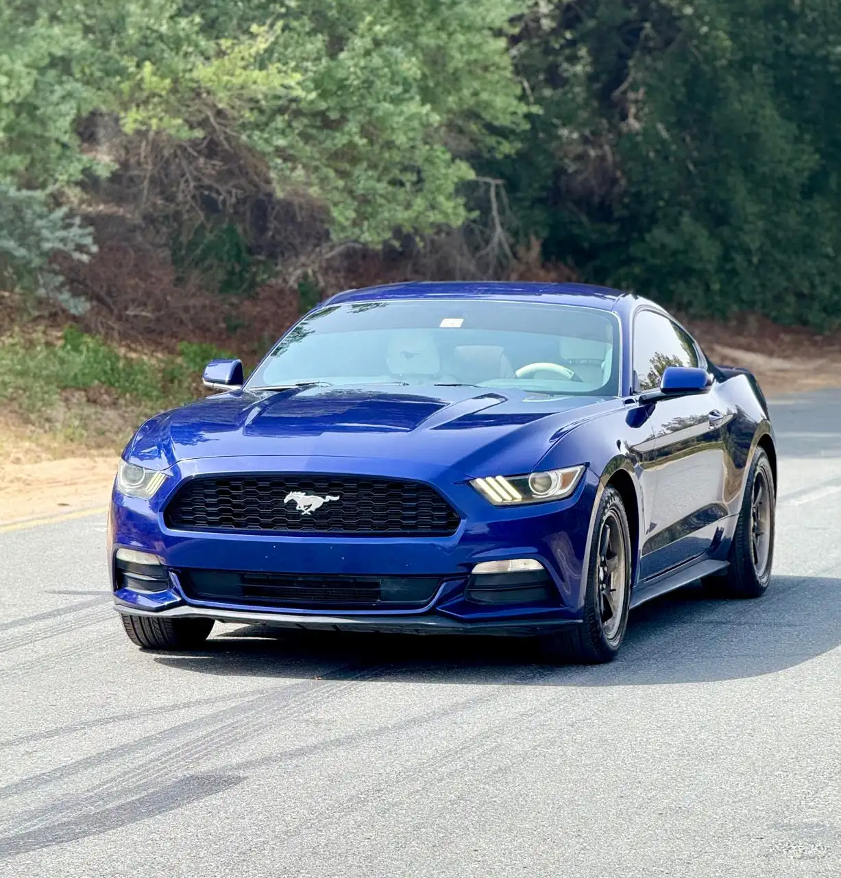 Ford Mustang 2015 3.7L