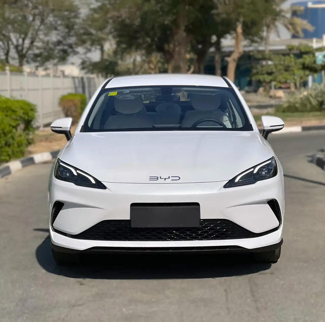 بي واي دي سيل 2025