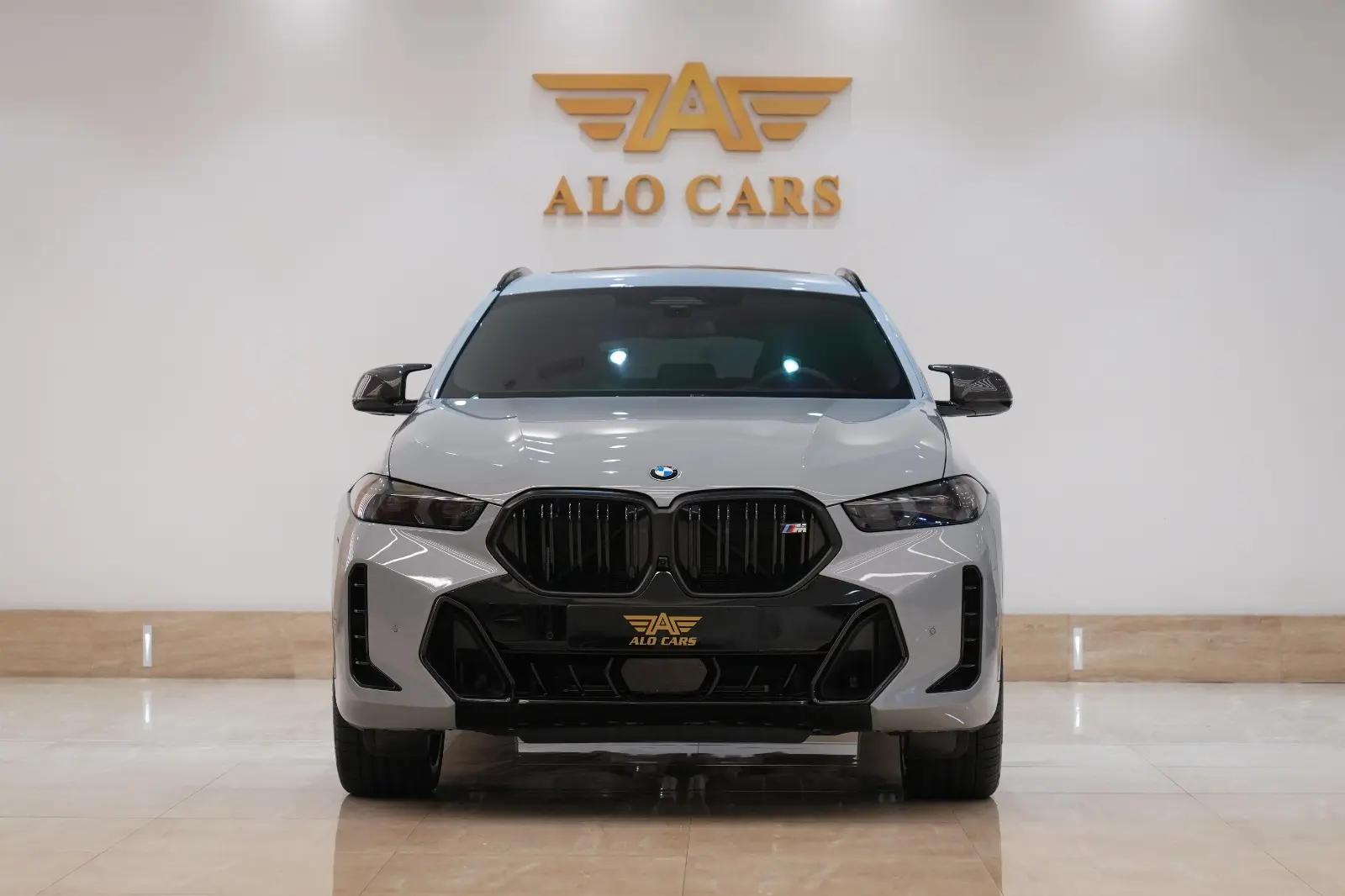 BMW X6 2025