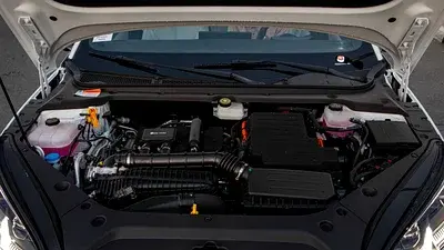 بي واي دي سيل 2025