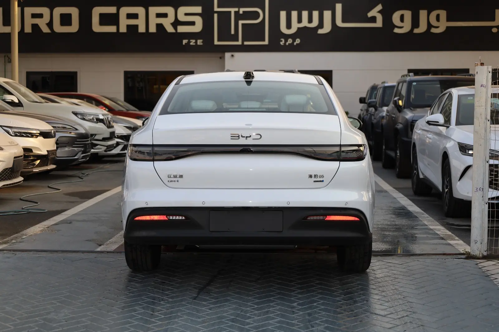 بي واي دي سيل 2025